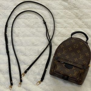 Louis Vuitton Palm Springs Mini